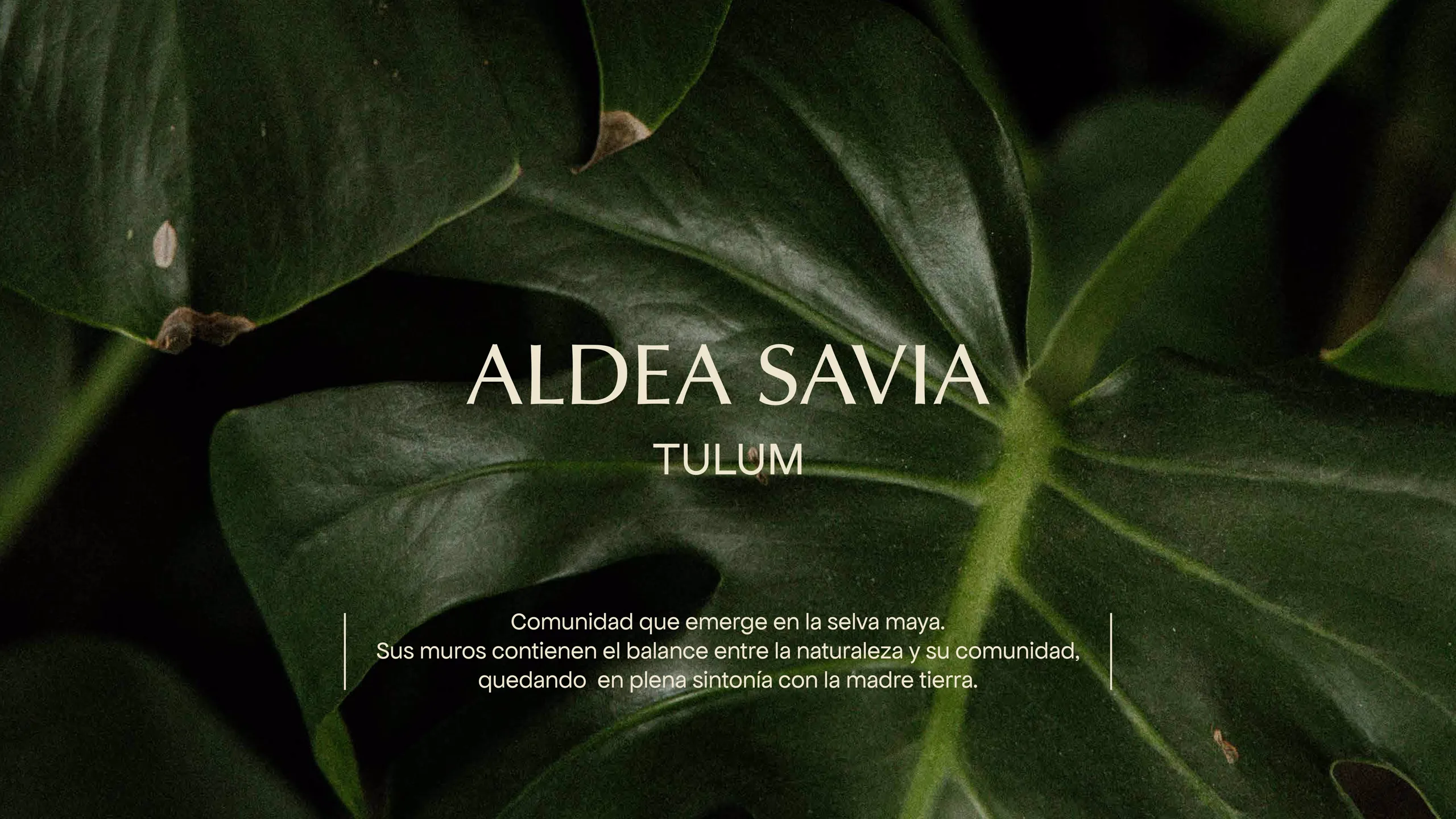 Página 1 del Brochure