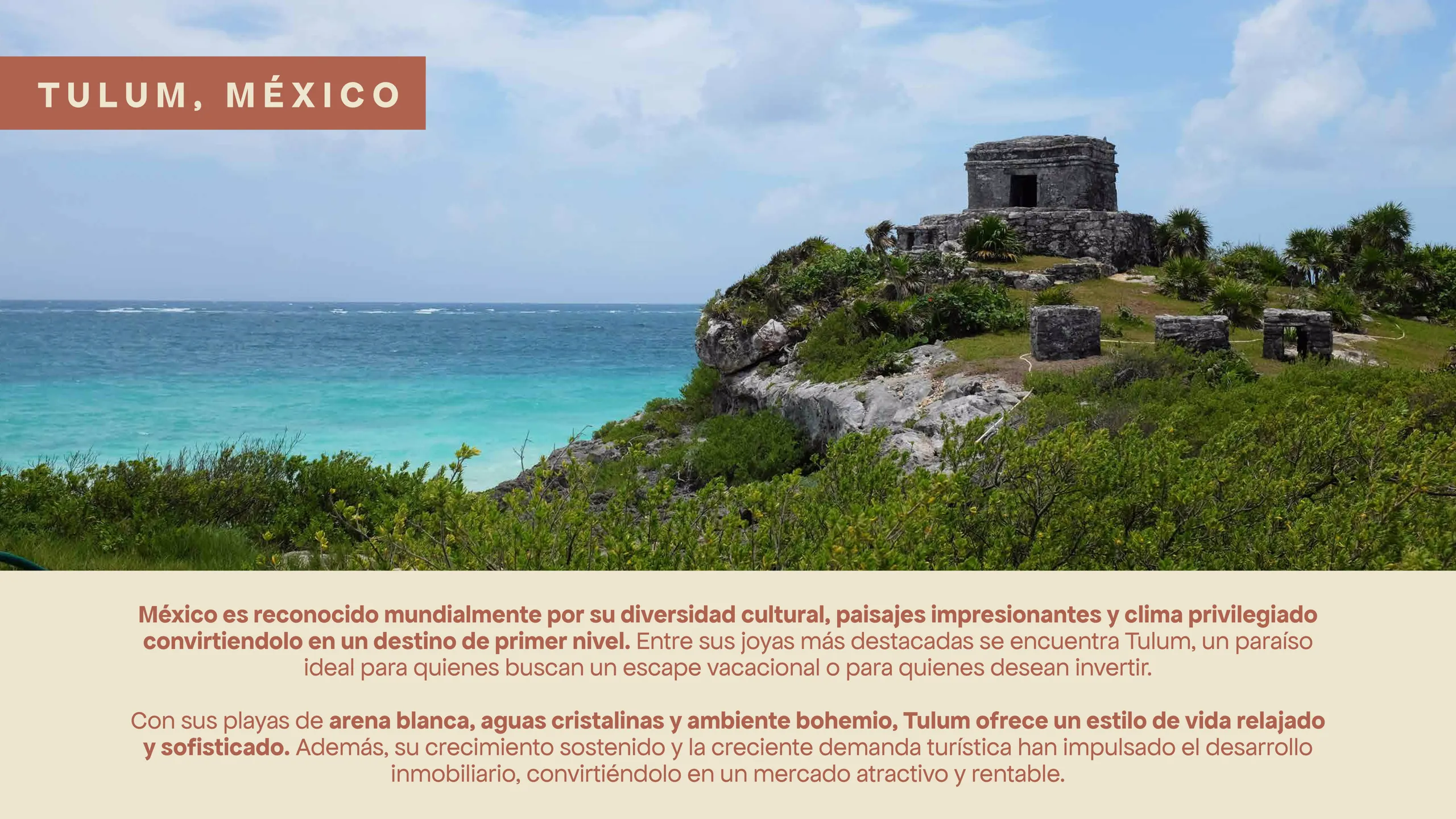Página 2 del Brochure