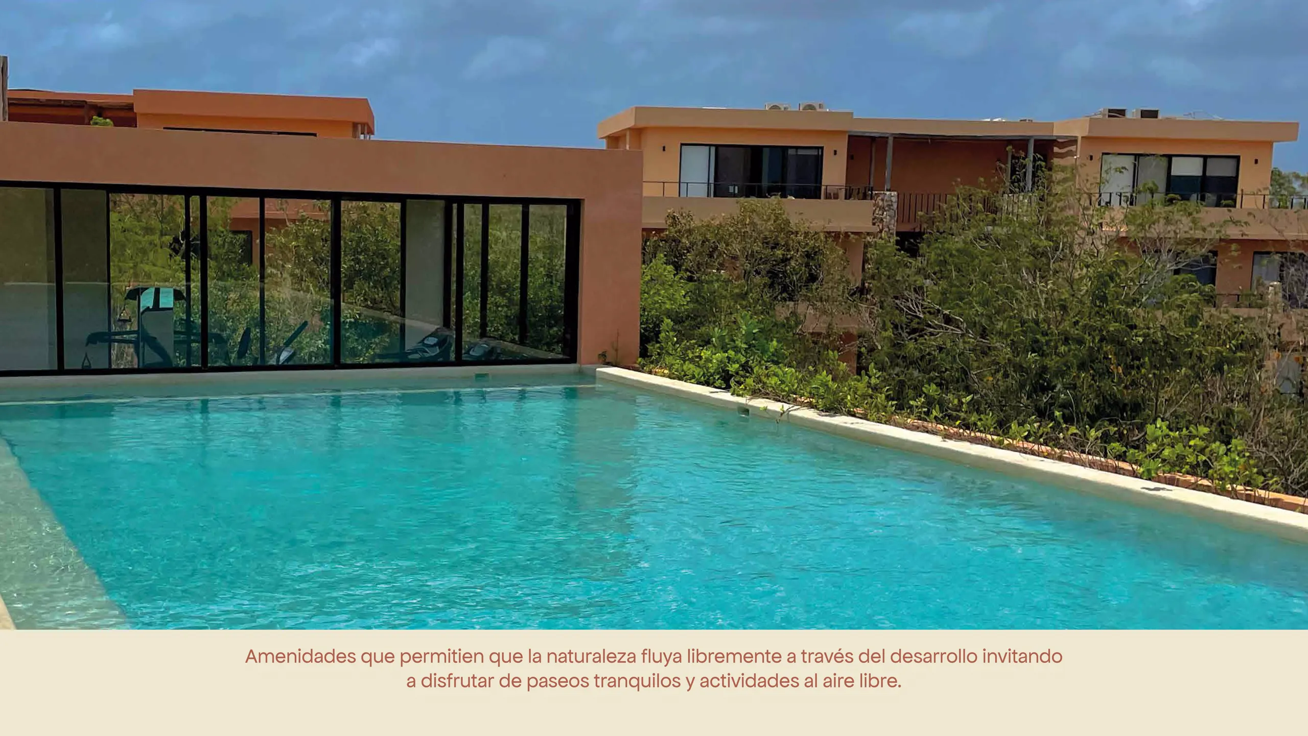 Página 13 del Brochure