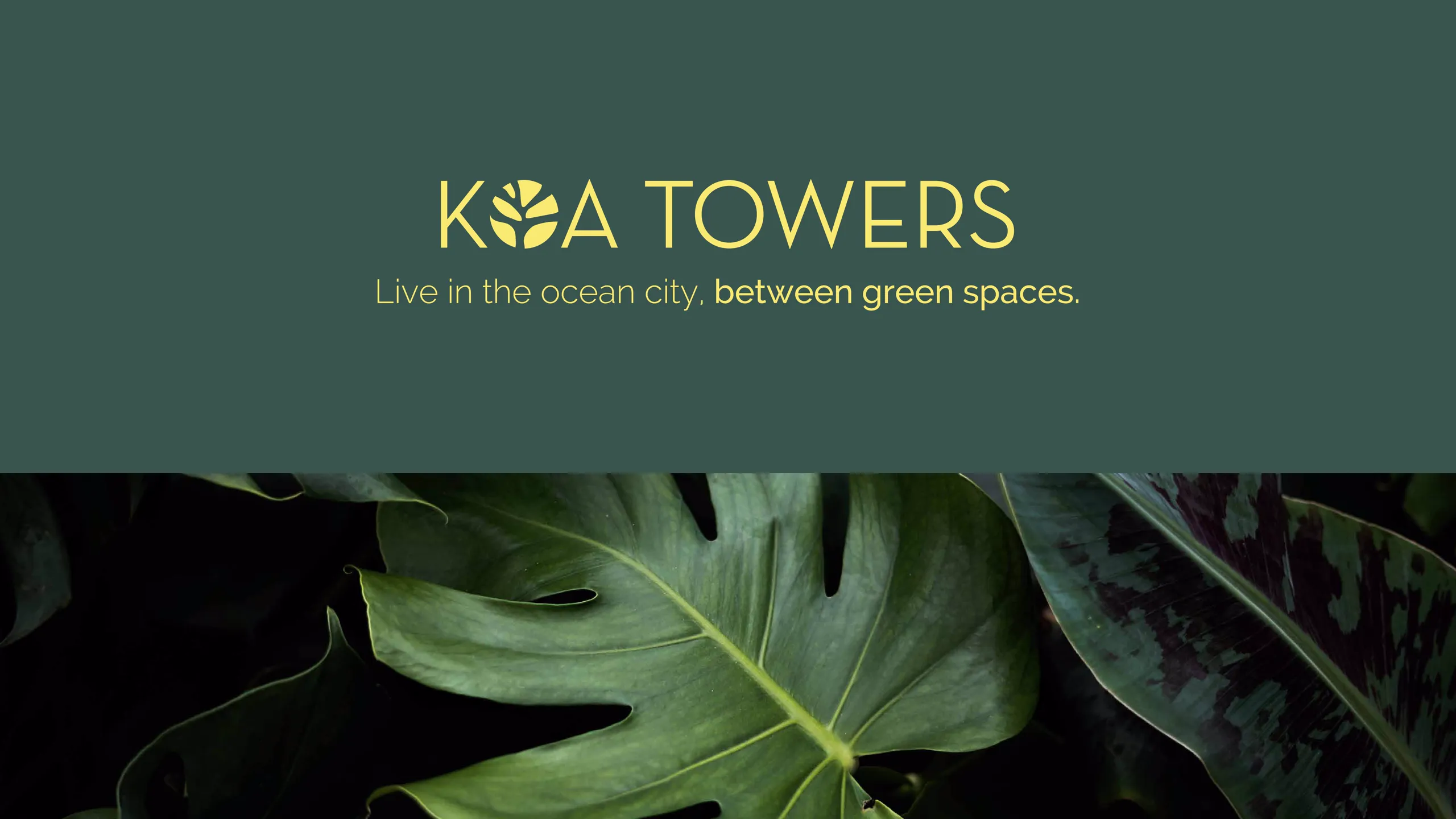 Página 1 del Brochure