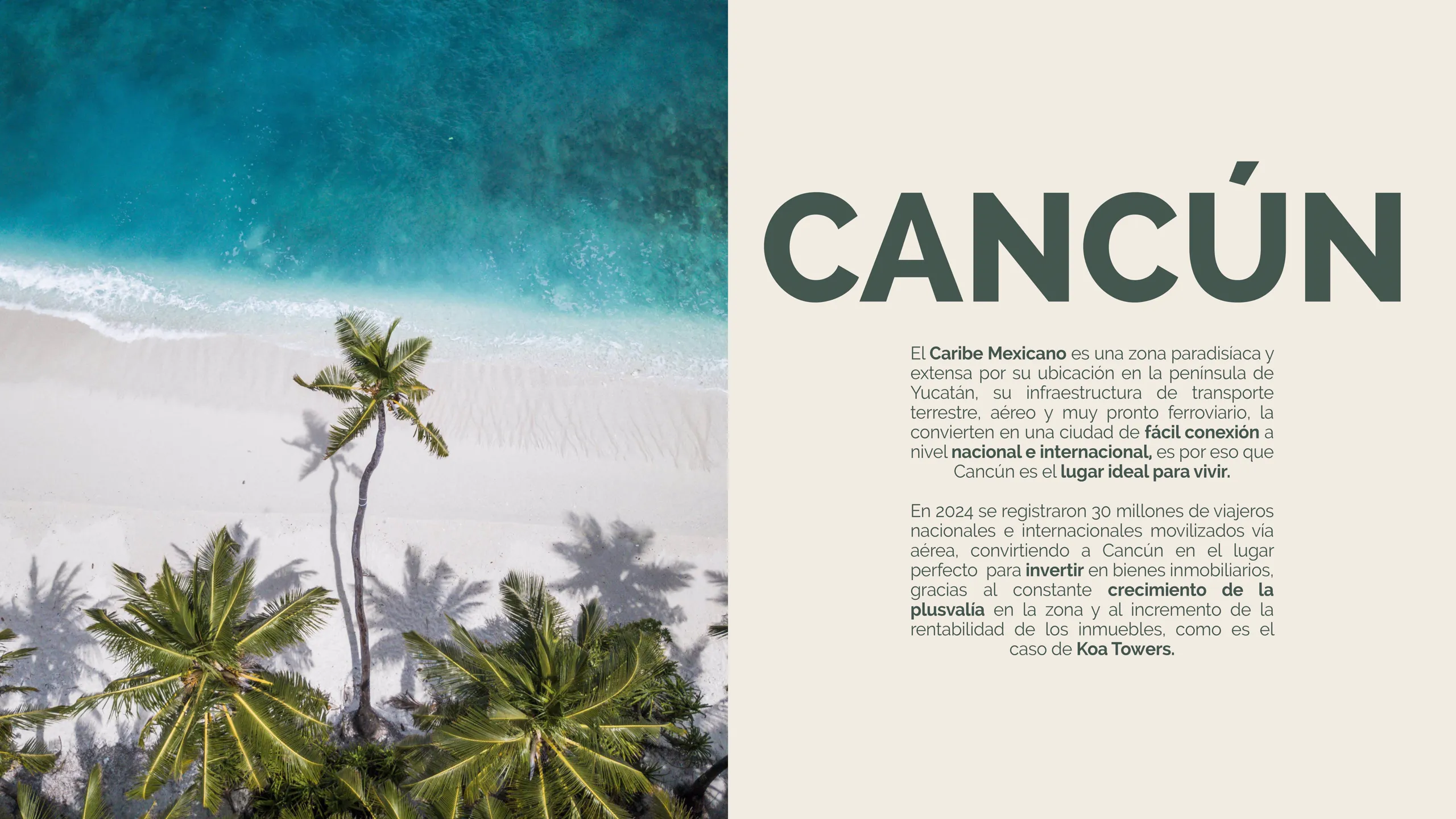 Página 2 del Brochure