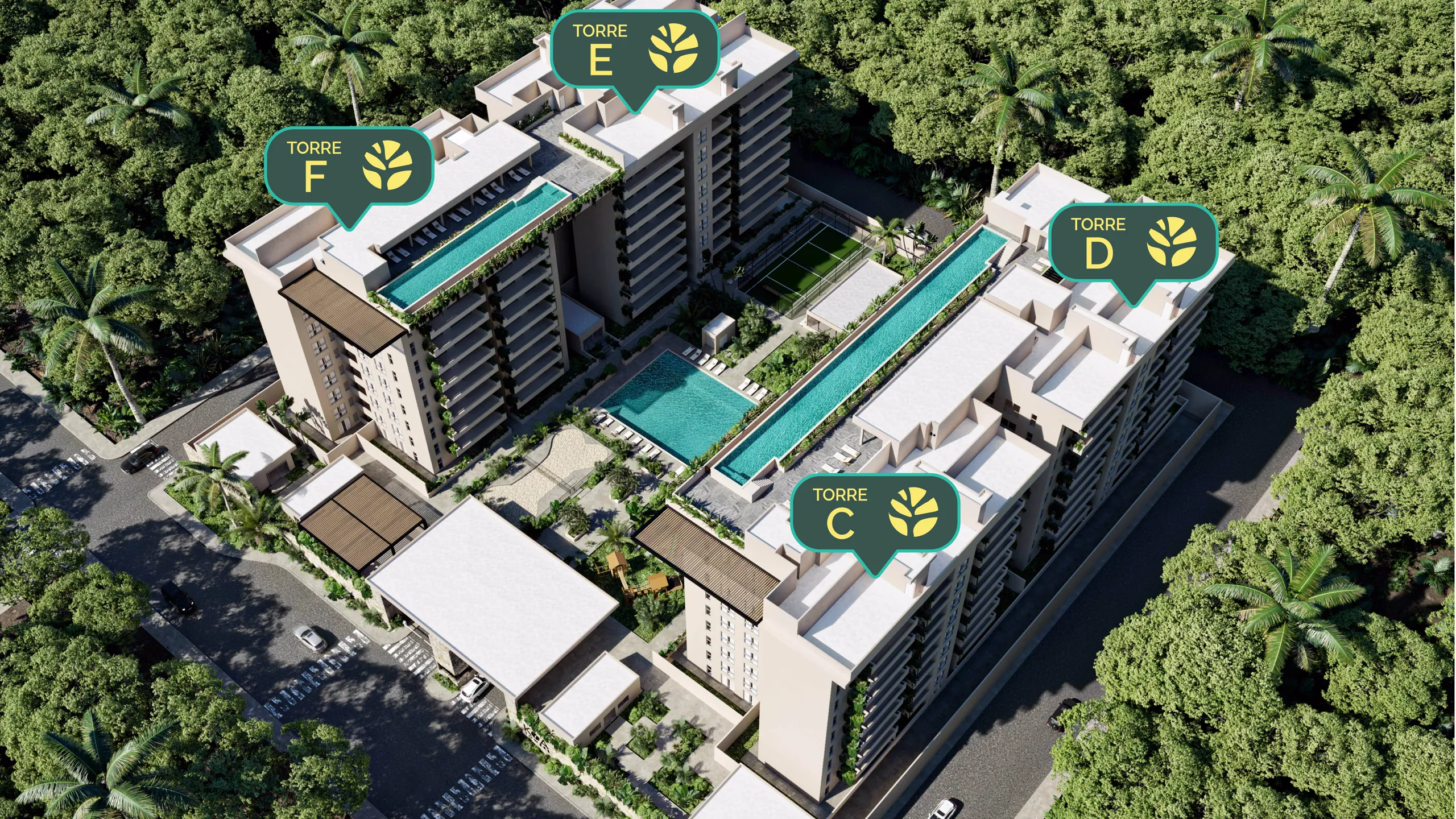 Página 6 del Brochure