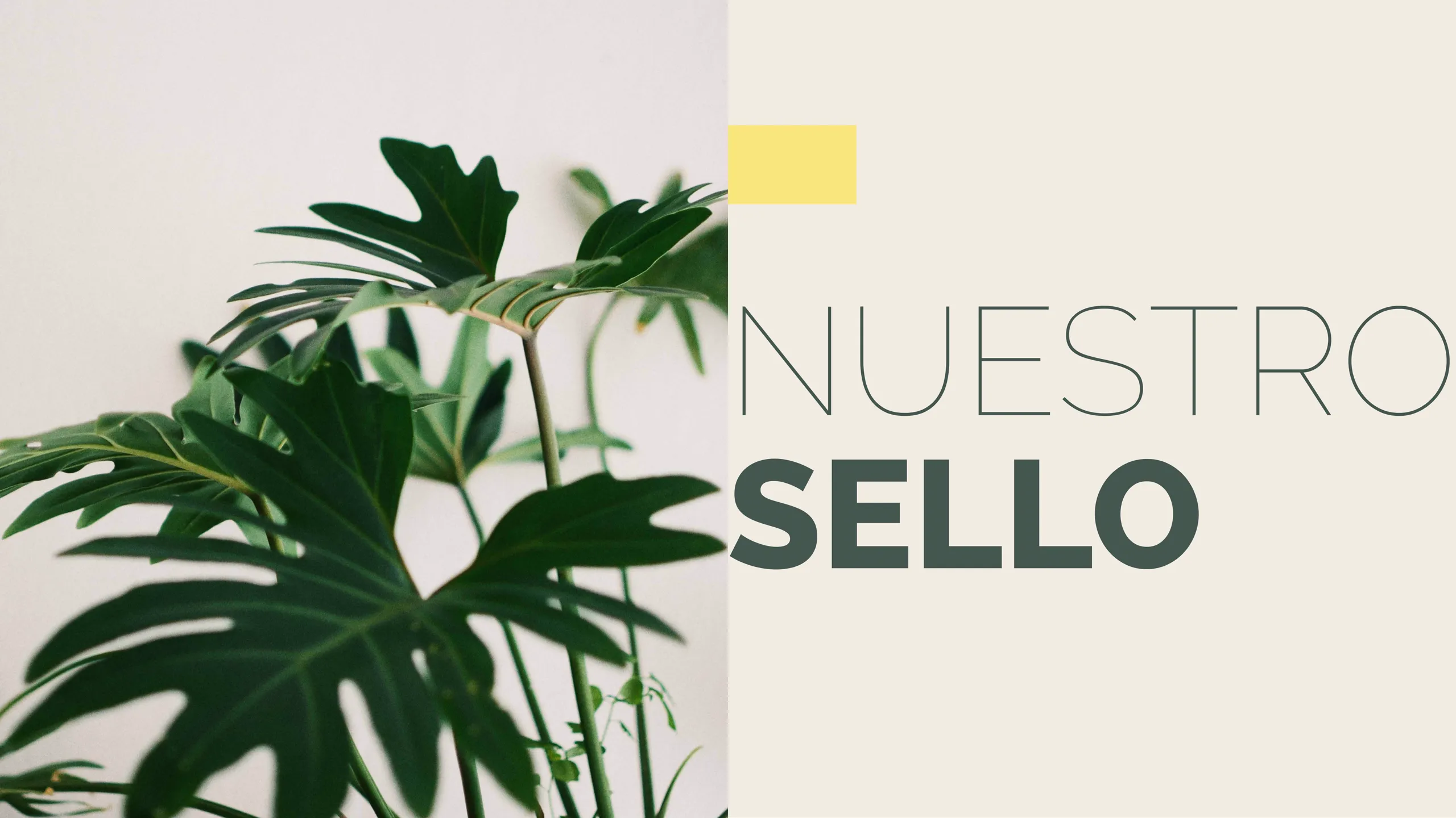 Página 9 del Brochure