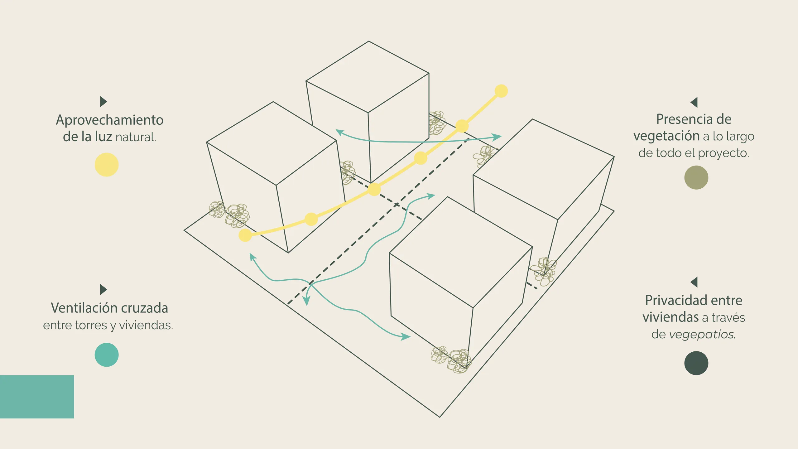 Página 10 del Brochure