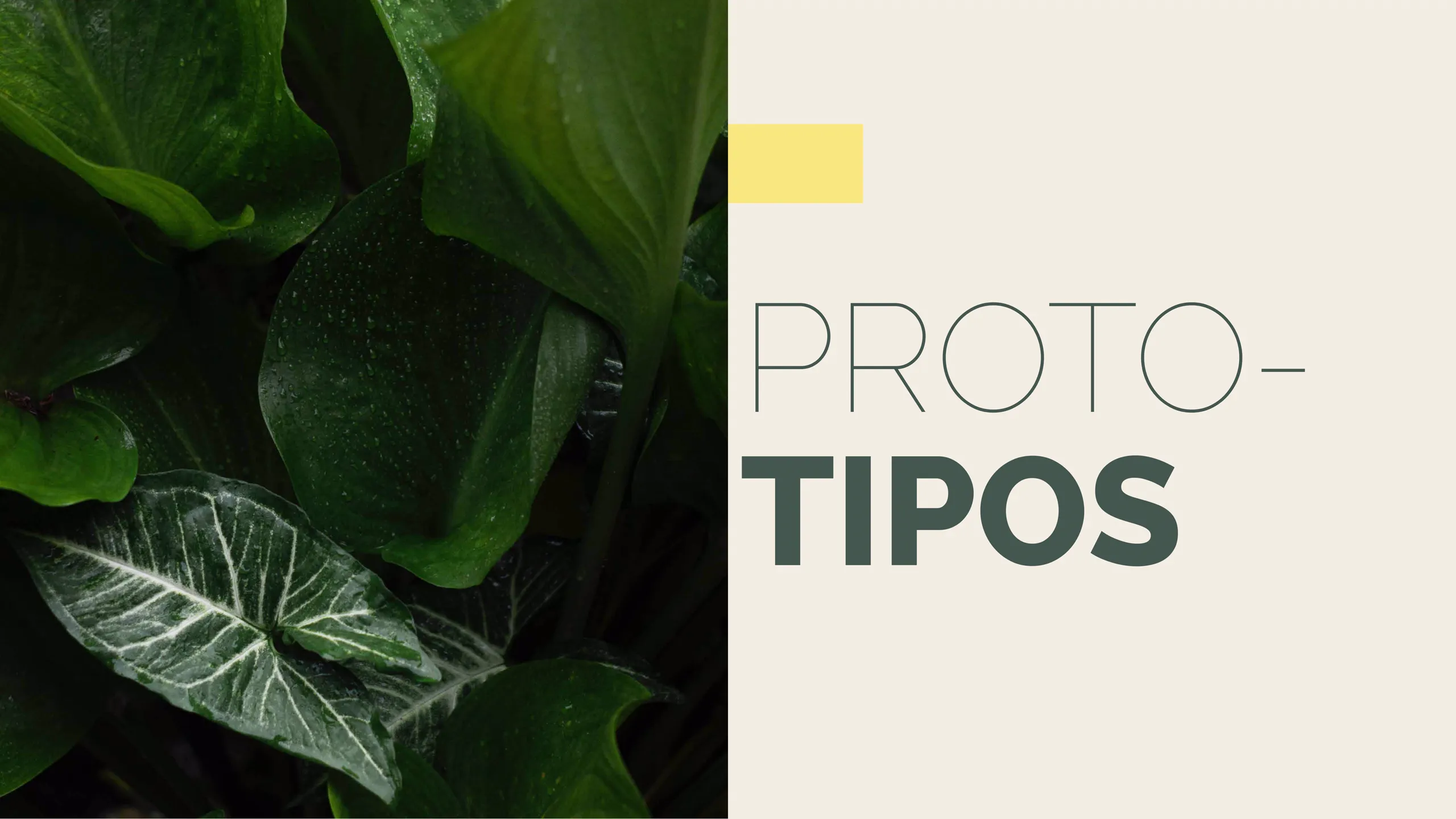 Página 12 del Brochure