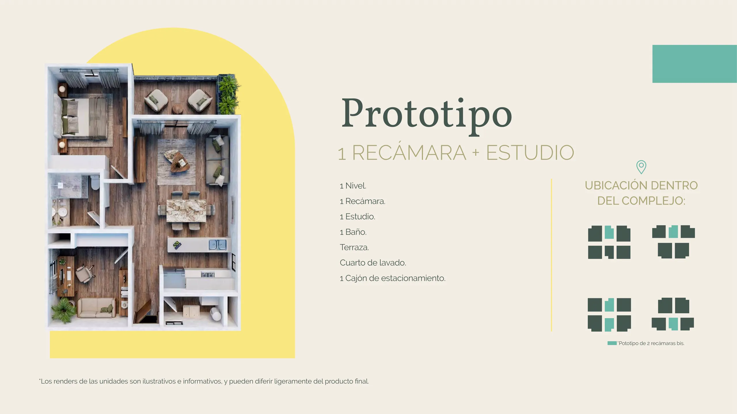 Página 13 del Brochure