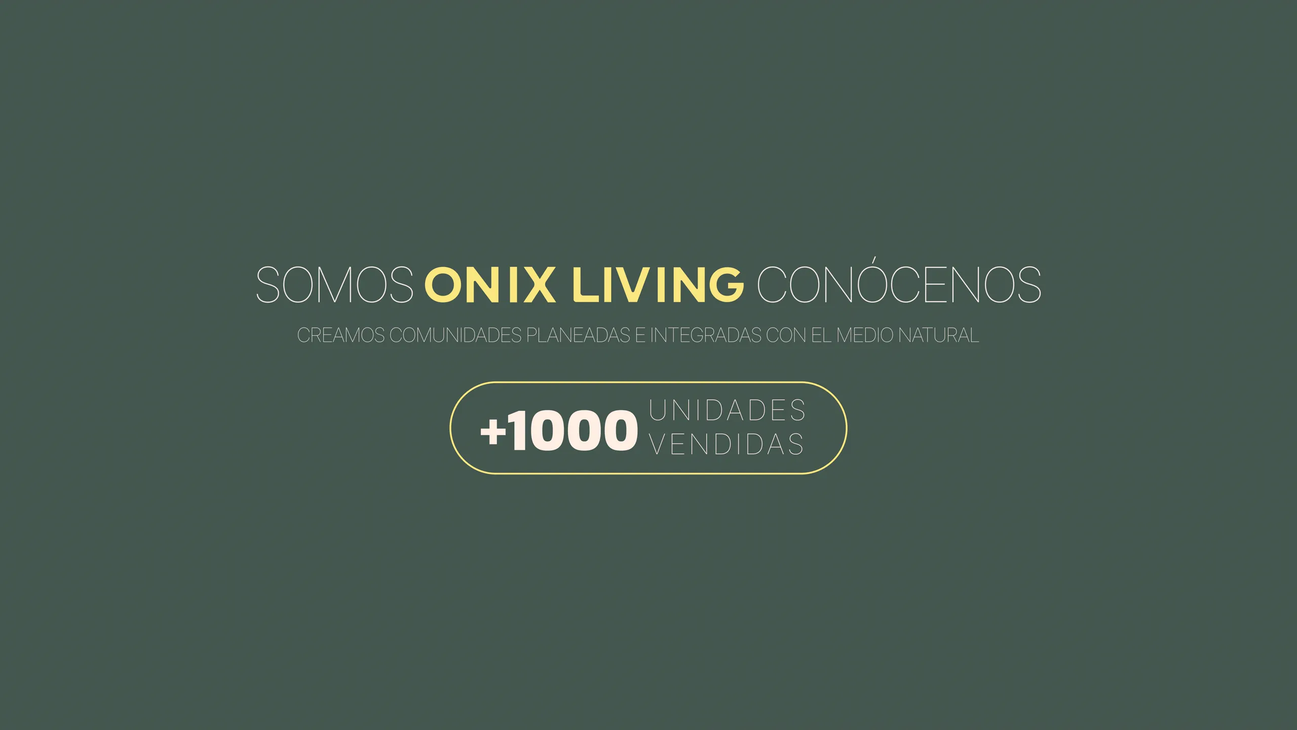 Página 26 del Brochure